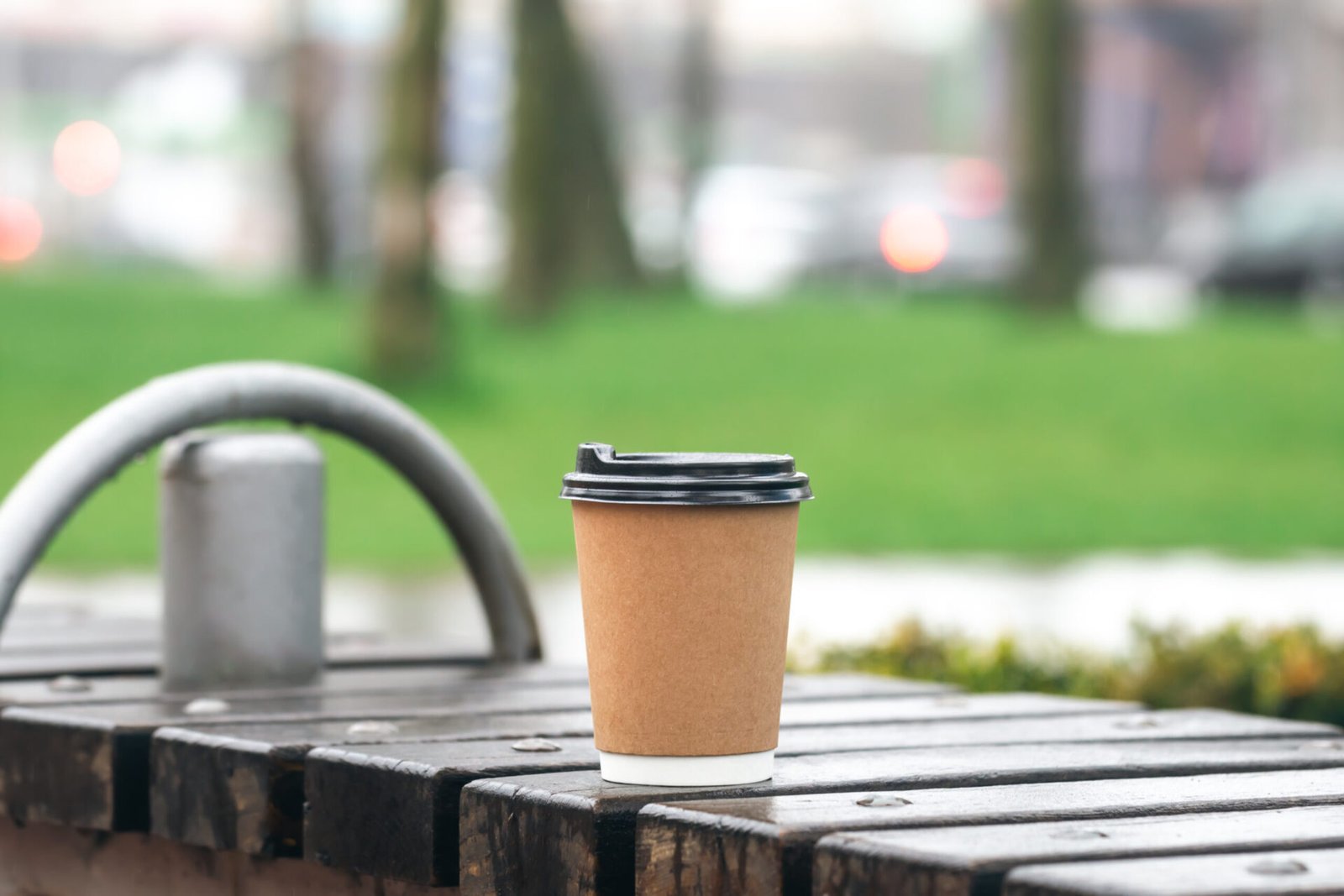 Paper cup on wooden bench in park, copy space.